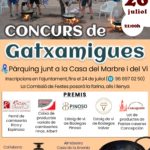 CONCURSO DE GACHAMIGAS