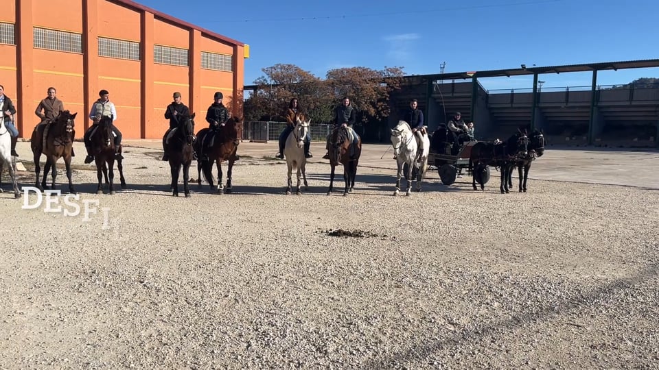 19-01-2025 ROMERIA SAN ANTÓN