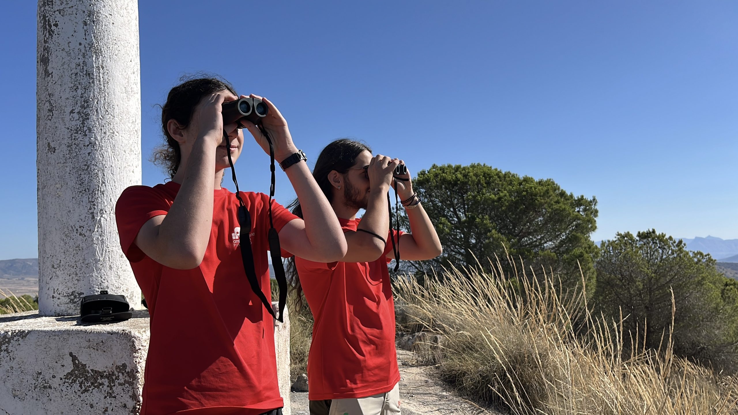 RESUMEN VOLUNTARIADO AMBIENTAL 2025
