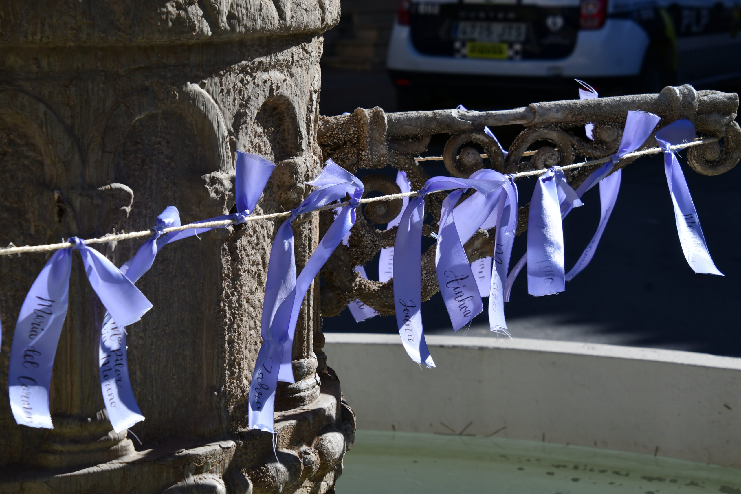 ACTE INSTITUCIONAL  25  N
