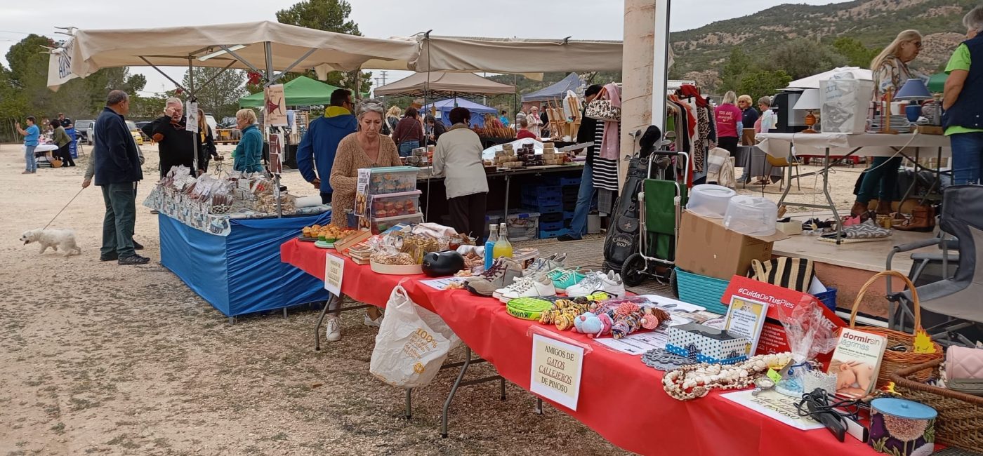 25-04-2026 II MERCADILLO FALDAR (10)