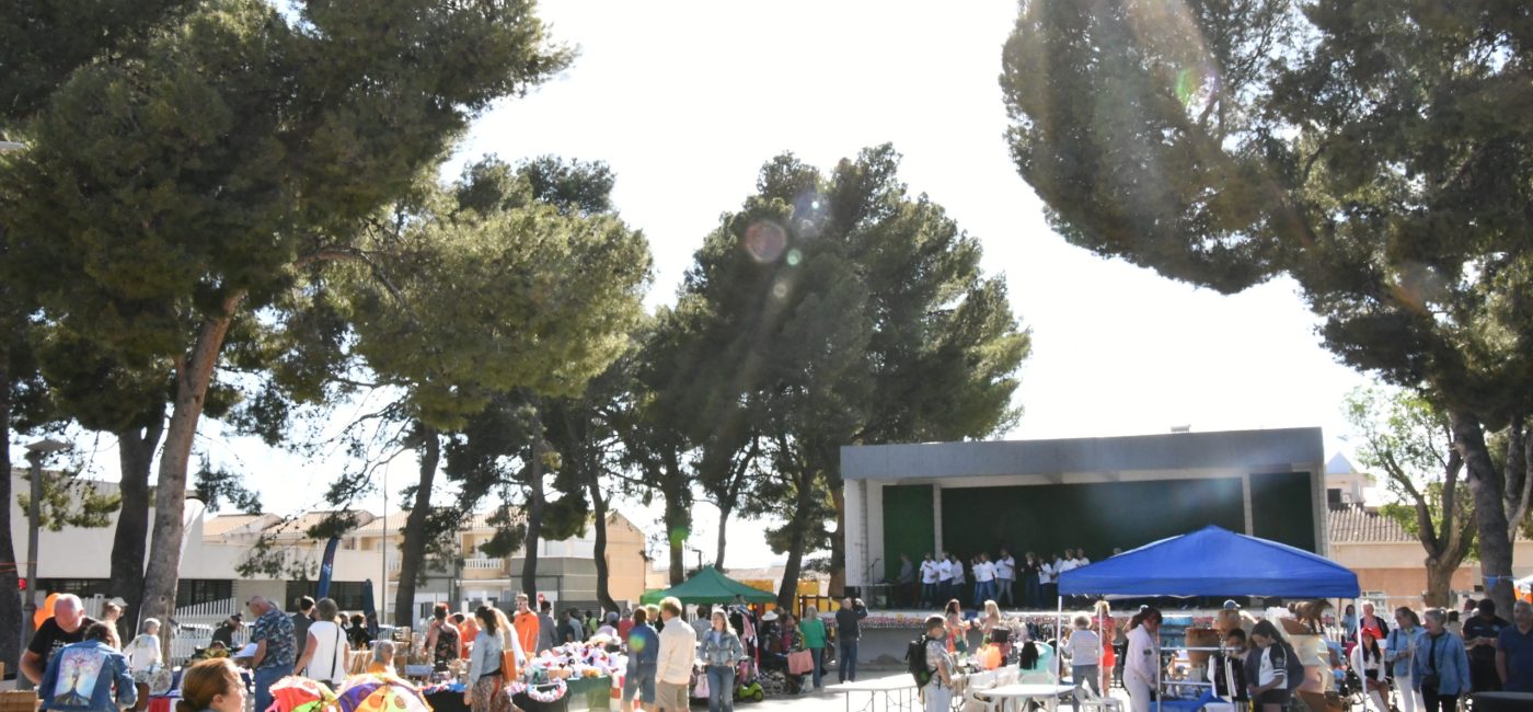 MERCADO DE PRIMAVERA (158)