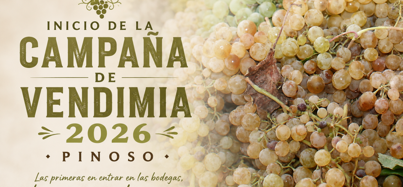 VENDIMIA UVAS BLANCAS