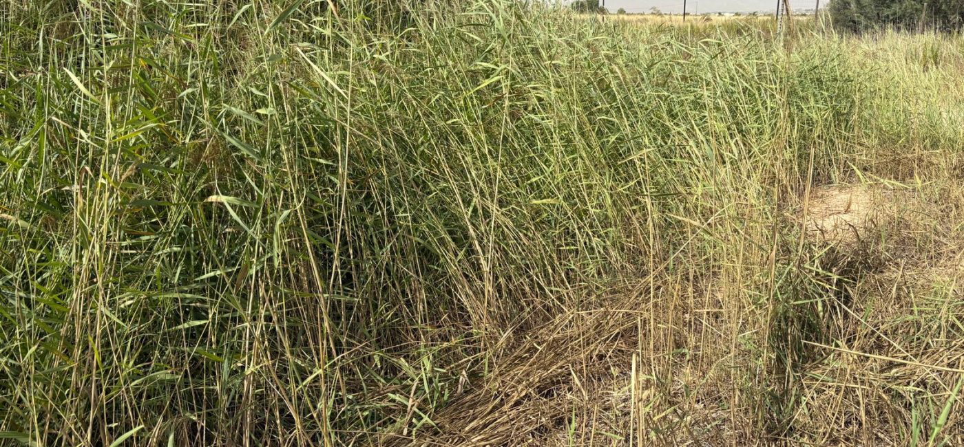 WhatsApp Image 2025-10-29 at 11.29.46