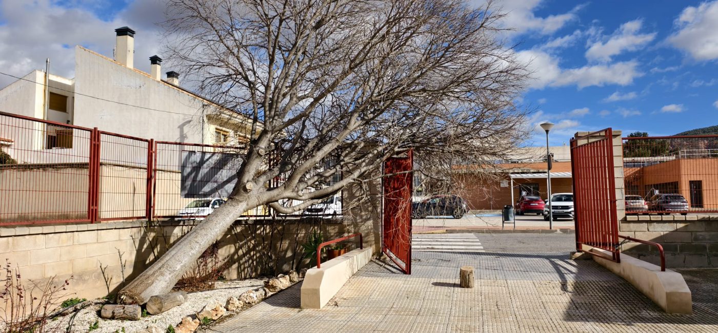 WhatsApp Image 2026-01-28 at 16.46.14