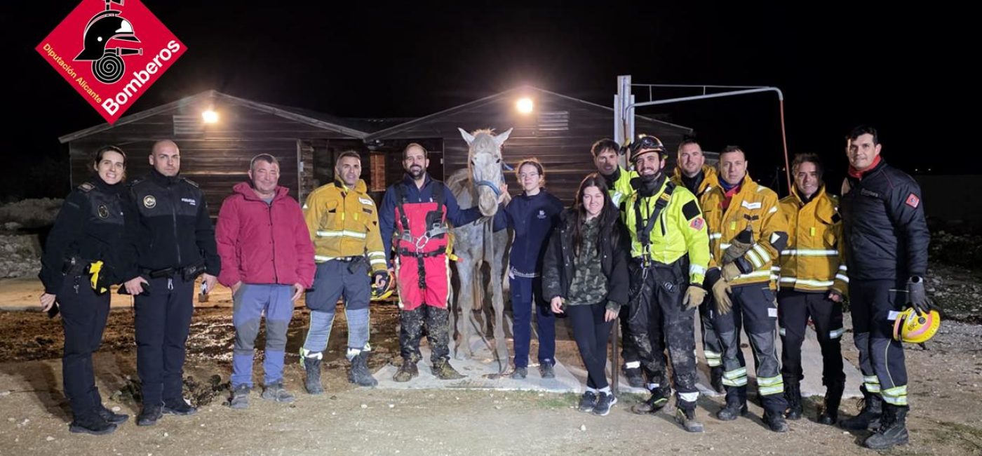 WhatsApp Image 2026-02-17 at 10.27.36