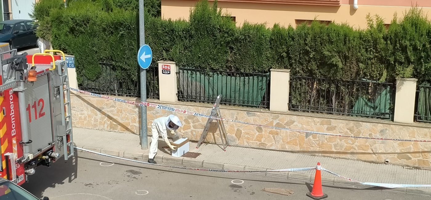 WhatsApp Image 2026-04-28 at 17.41.45 (5)