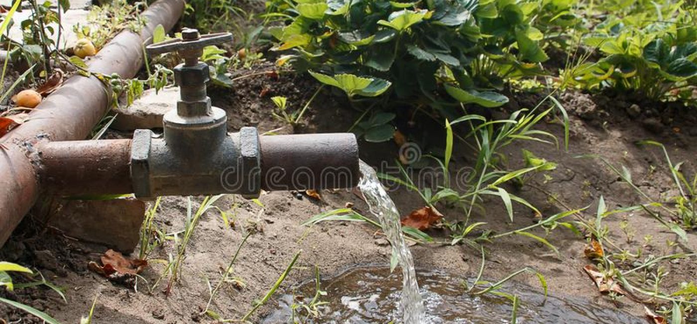 presión-de-agua-del-grifo-para-las-plantas-riego-en-la-parcela-el-jardín-fluye-hacia-un-pequeño-charco-arena-162648892