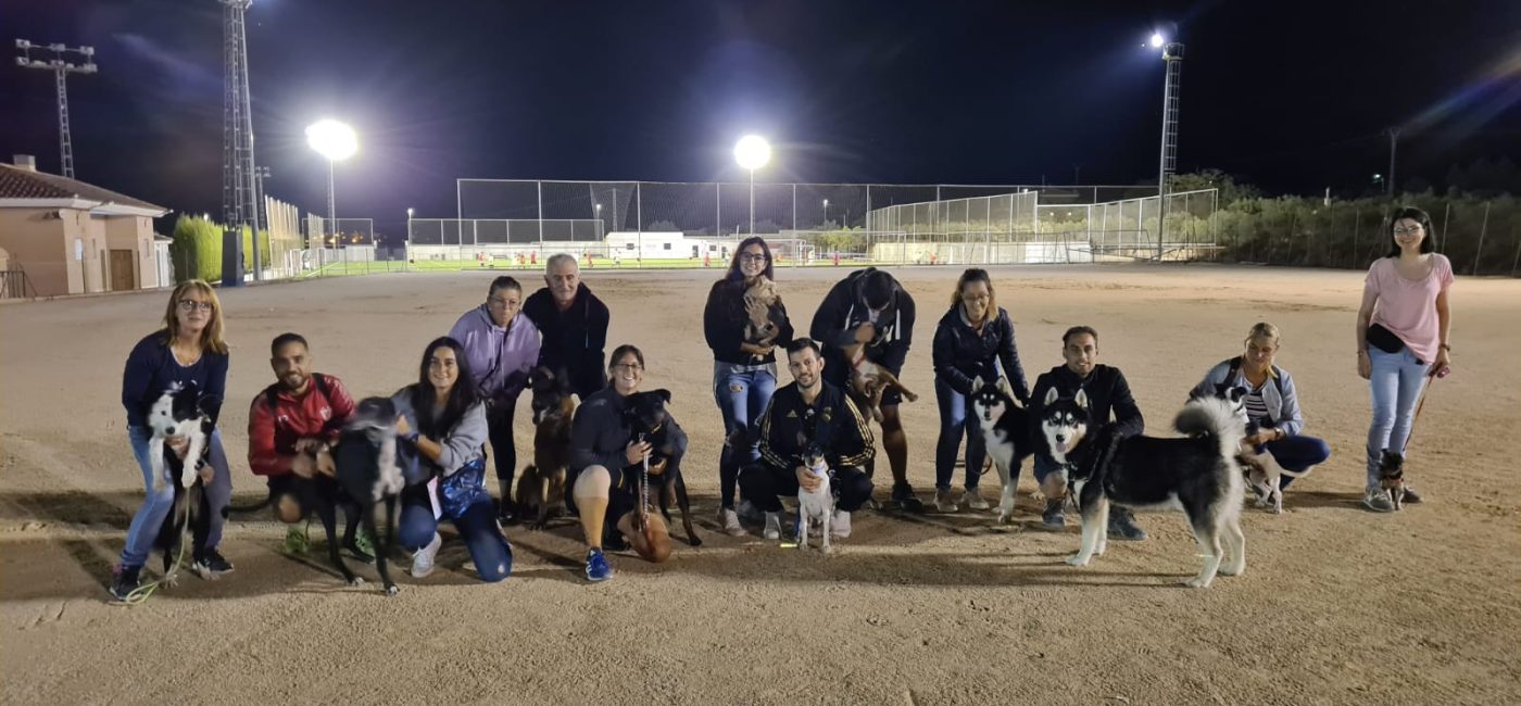 segundo curso canino